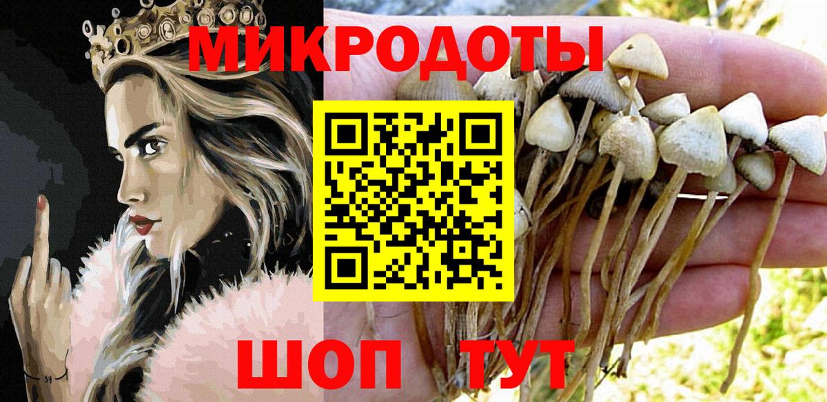Галлюциногенные грибы GOLDEN TEACHER Сердобск