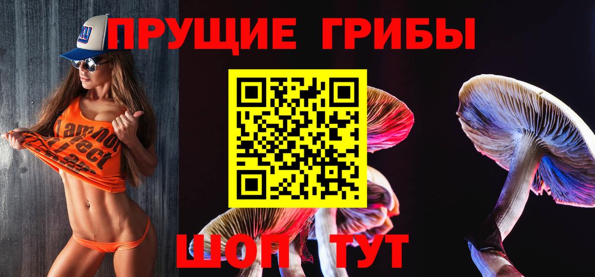 Сердобск  Псилоцибиновые грибы Magic Shrooms  Галлюциногенные грибы ЛСД  Вход с VPN 
